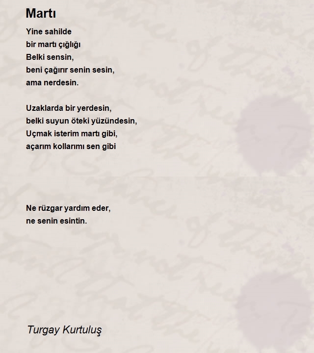 Turgay Kurtuluş