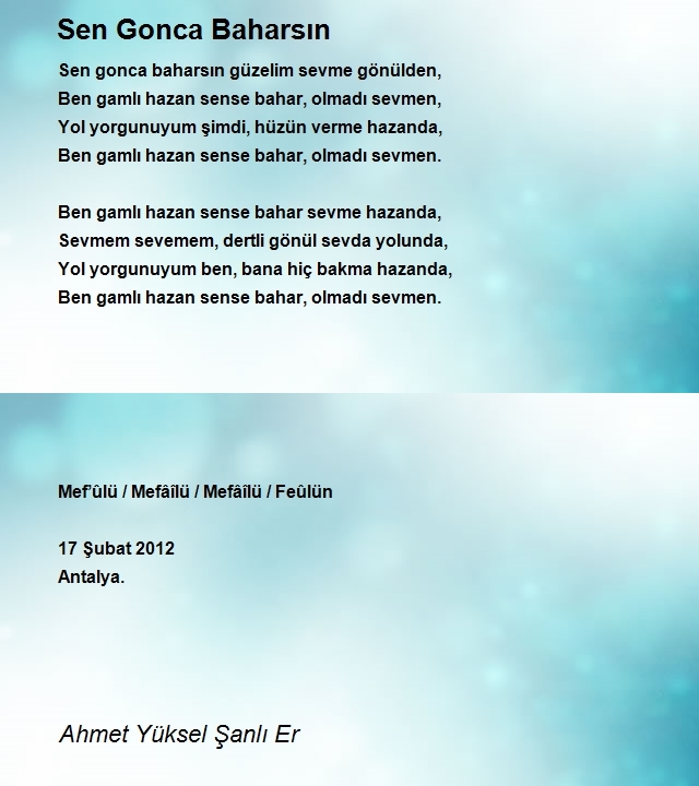 Ahmet Yüksel Şanlı Er