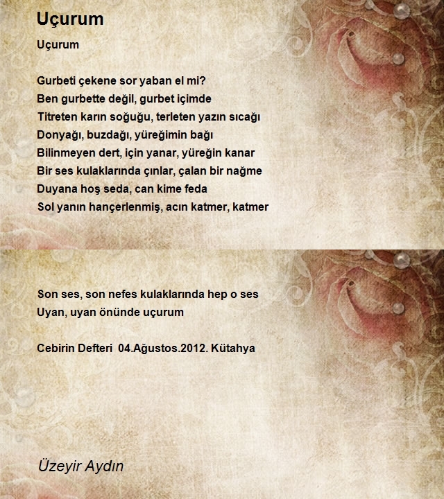 Üzeyir Aydın