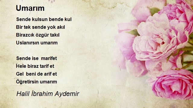 Halil İbrahim Aydemir