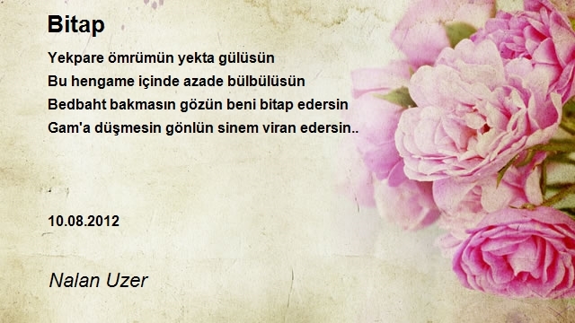 Nalan Uzer