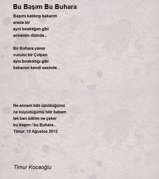 Timur Kocaoğlu