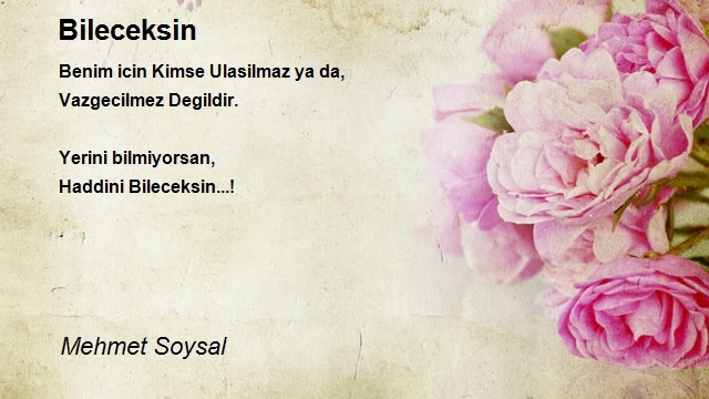 Mehmet Soysal