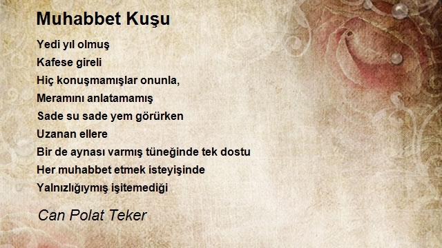 Can Polat Teker