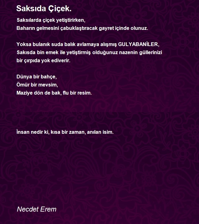 Necdet Erem