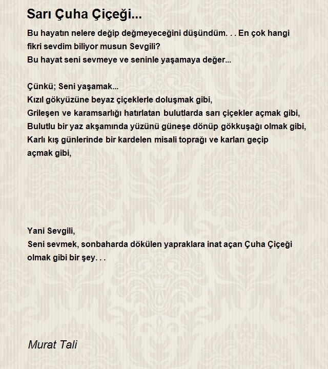 Murat Tali