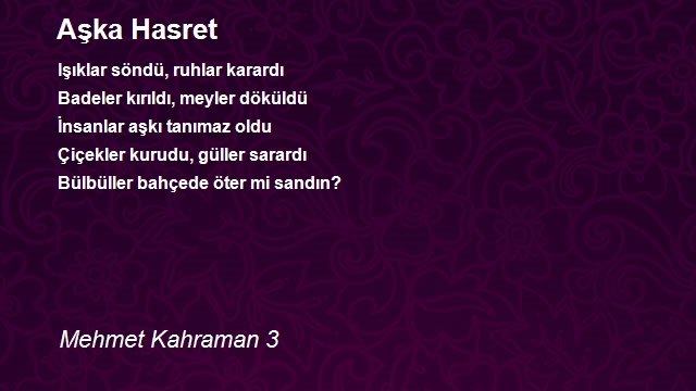 Mehmet Kahraman 3