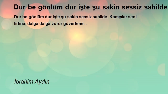 İbrahim Aydın