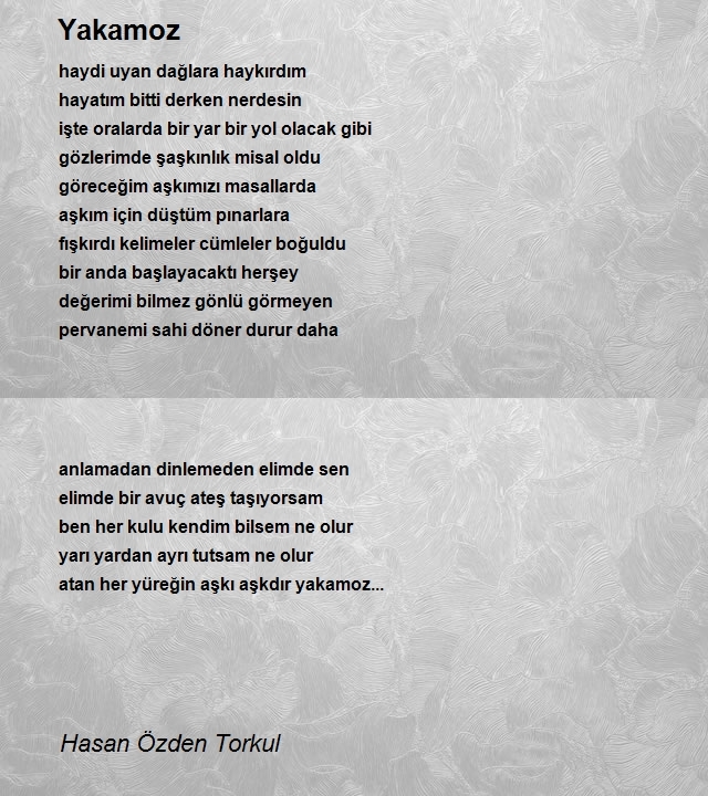 Hasan Özden Torkul