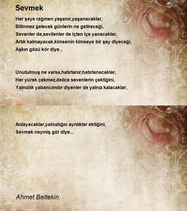 Ahmet Beltekin