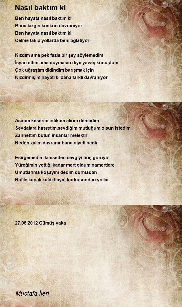 Mustafa İleri