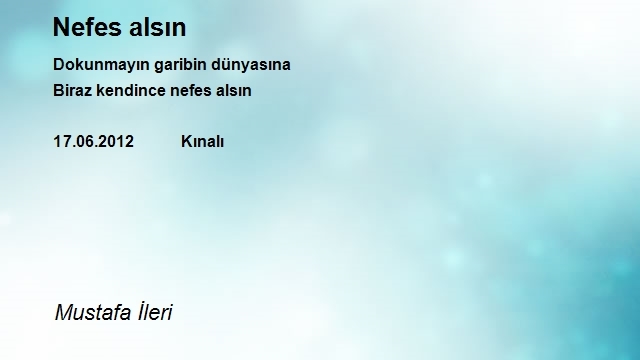 Mustafa İleri