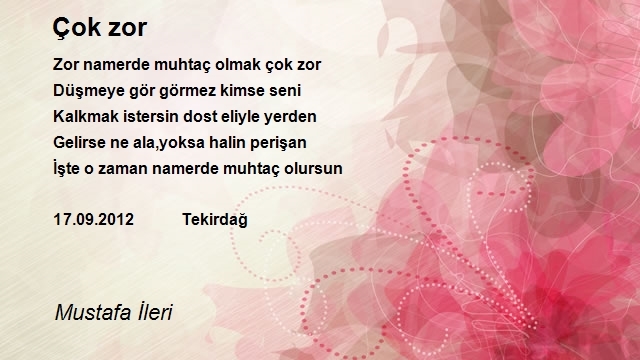 Mustafa İleri