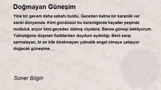 Soner Bilgin