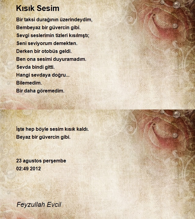 Feyzullah Evcil