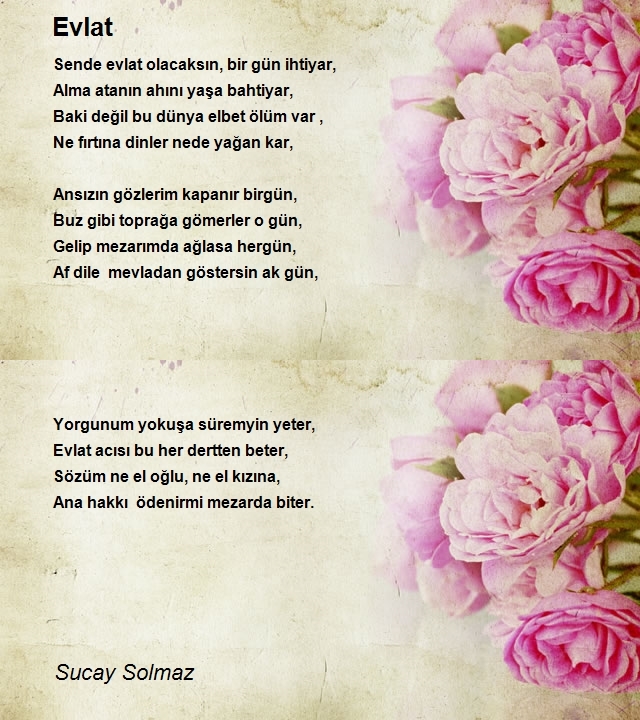 Sucay Solmaz