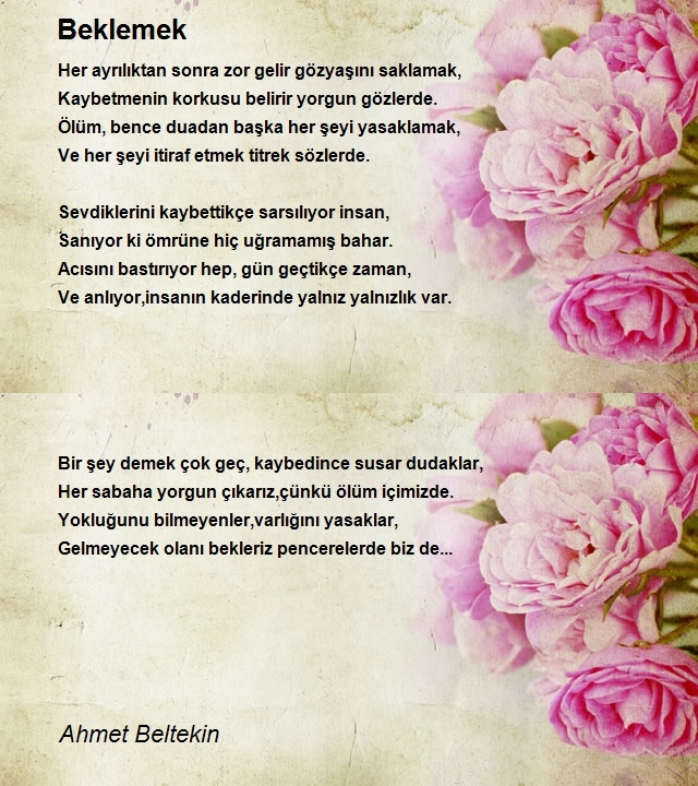 Ahmet Beltekin