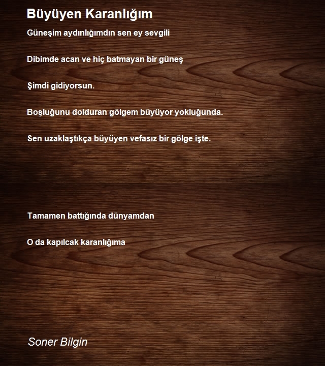 Soner Bilgin