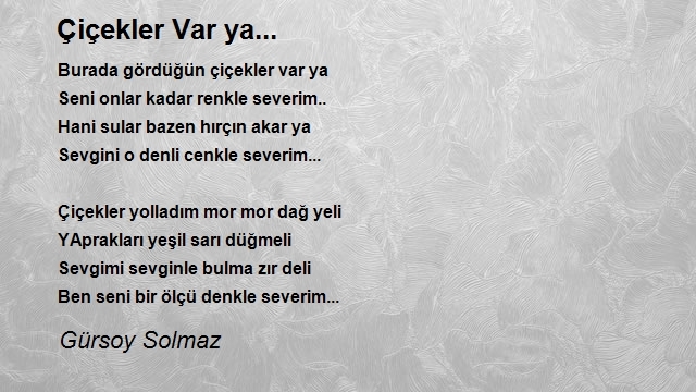 Gürsoy Solmaz