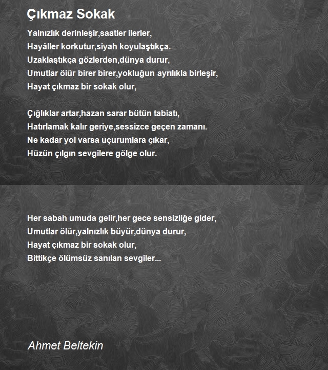 Ahmet Beltekin