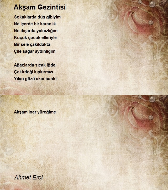 Ahmet Erol