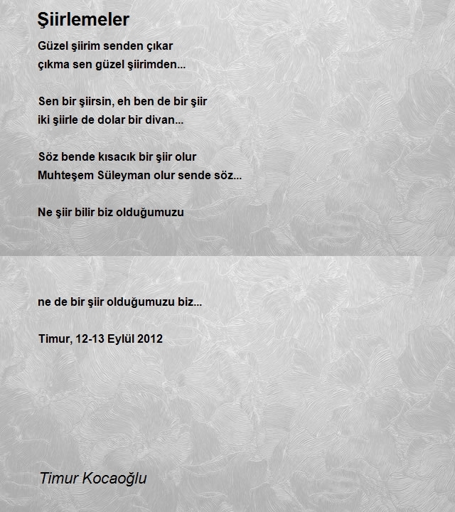 Timur Kocaoğlu