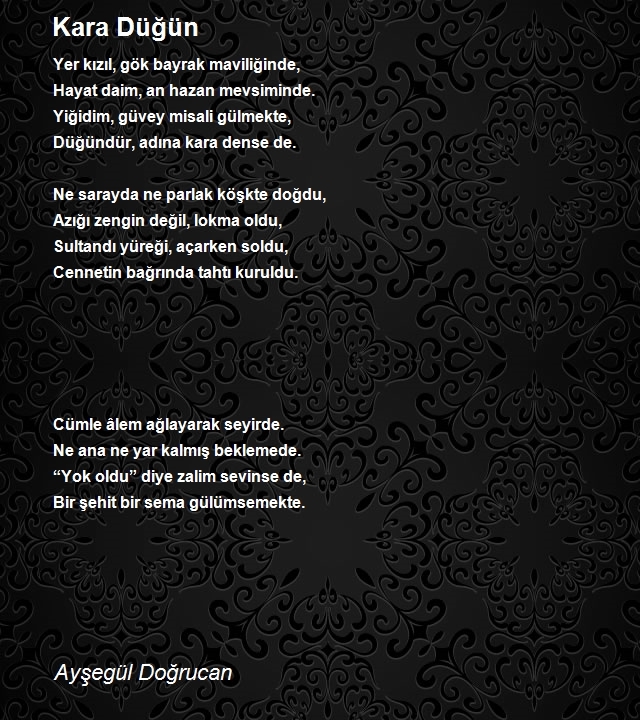 Ayşegül Doğrucan