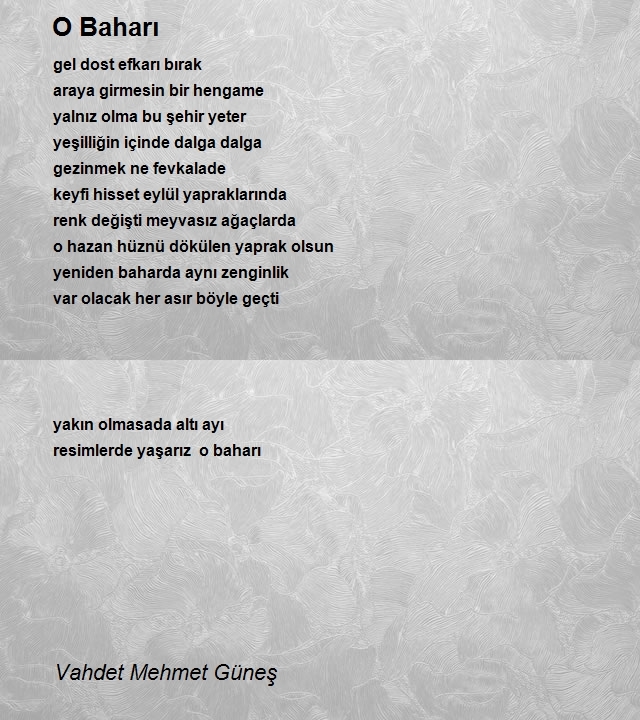 Vahdet Mehmet Güneş