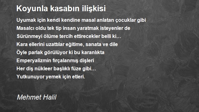 Mehmet Halil