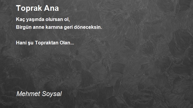 Mehmet Soysal