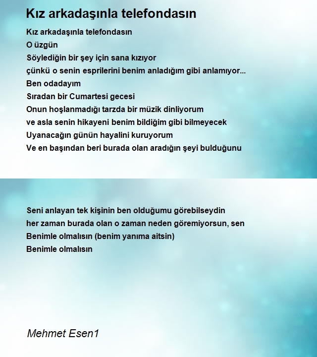 Mehmet Esen1