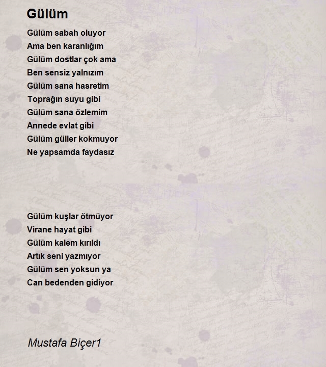 Mustafa Biçer1