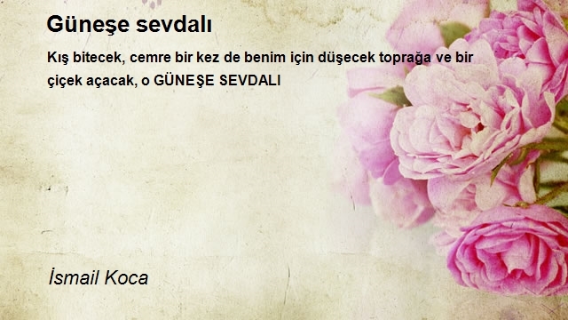 İsmail Koca