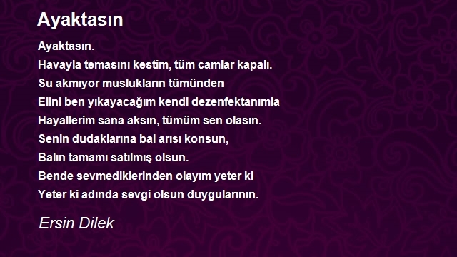 Ersin Dilek