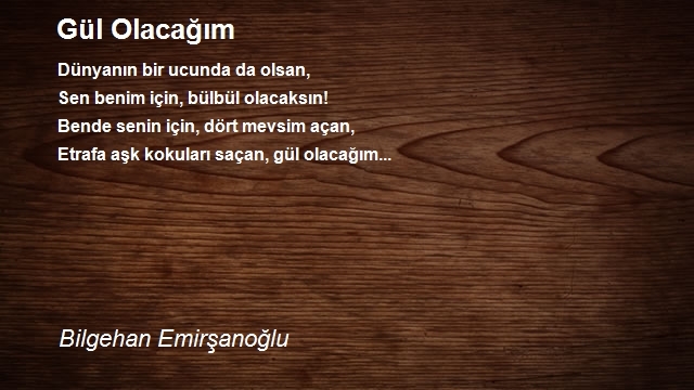 Bilgehan Emirşanoğlu