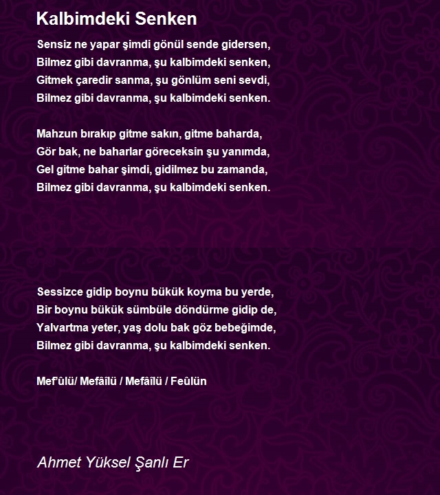 Ahmet Yüksel Şanlı Er