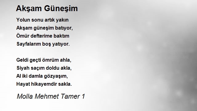 Molla Mehmet Tamer 1