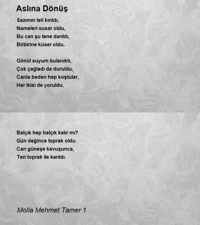 Molla Mehmet Tamer 1