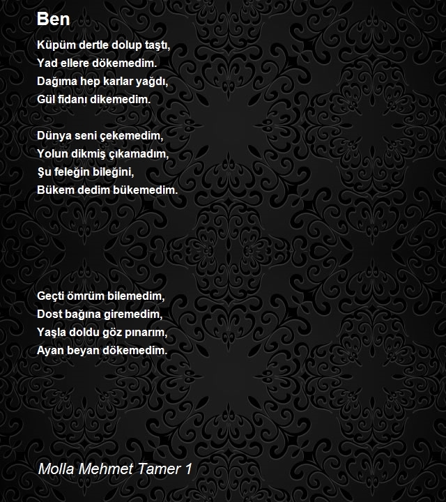 Molla Mehmet Tamer 1