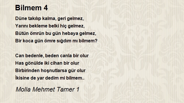 Molla Mehmet Tamer 1