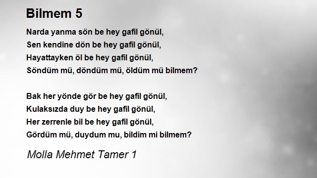 Molla Mehmet Tamer 1