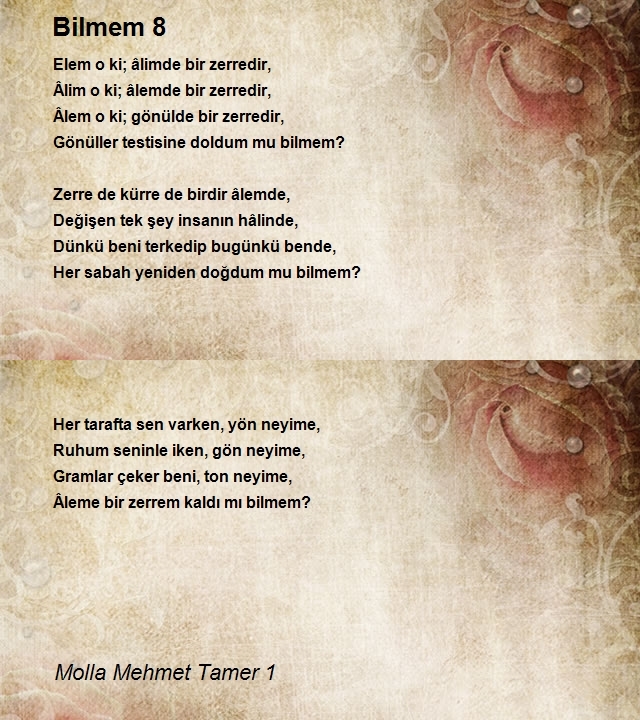 Molla Mehmet Tamer 1