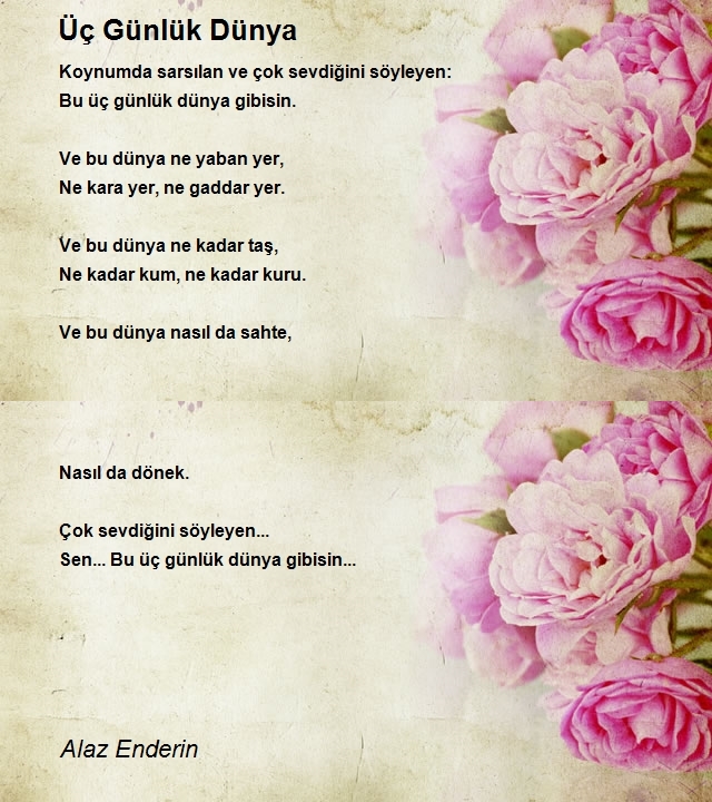 Alaz Enderin