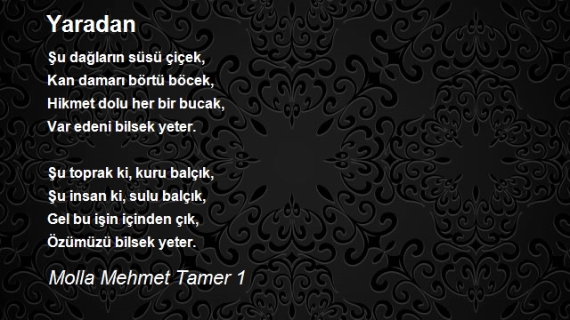 Molla Mehmet Tamer 1