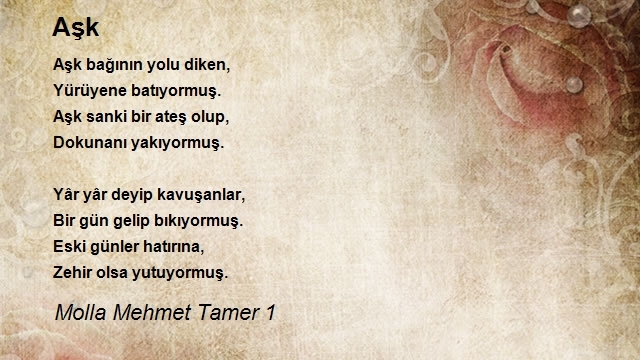 Molla Mehmet Tamer 1