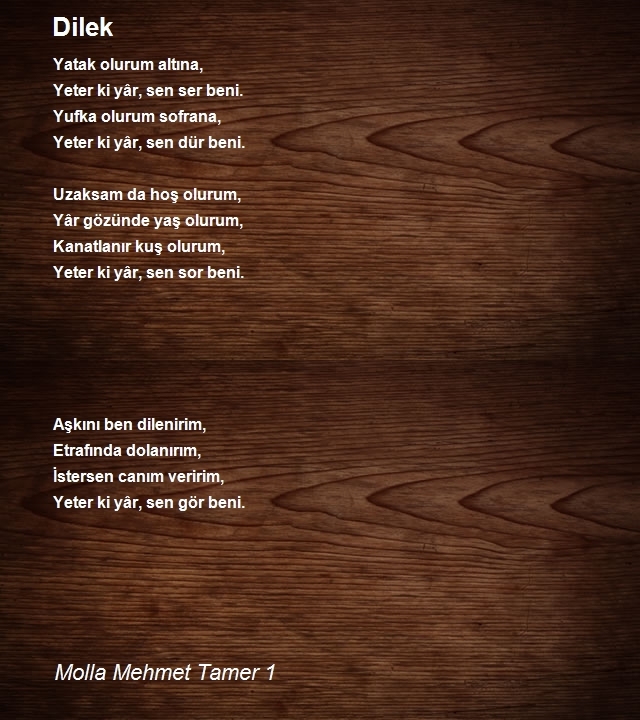 Molla Mehmet Tamer 1