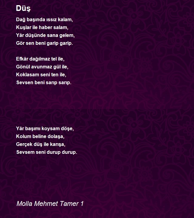 Molla Mehmet Tamer 1