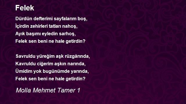 Molla Mehmet Tamer 1