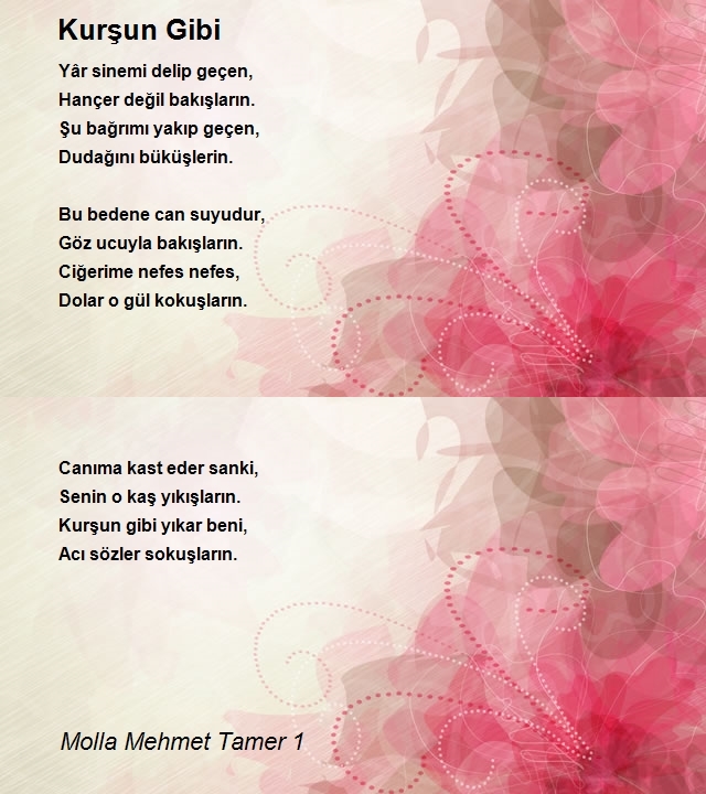 Molla Mehmet Tamer 1