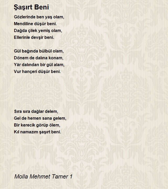 Molla Mehmet Tamer 1